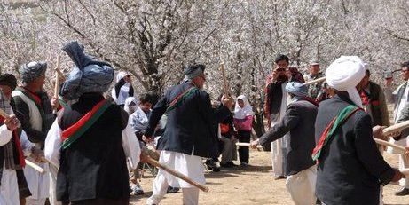 در دایکندی جشن گل بادام برگزار شد، در ننگرهار کشت خشخاش به بیش از 600 هکتار رسید