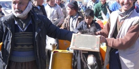 اقدام سمبولیک دیگر از باشندگان بامیان: مدال را به این الاغ می دهیم که بیشتر خدمت می کند